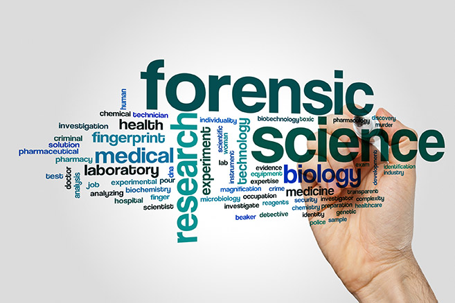 word cloud of words related to forensics